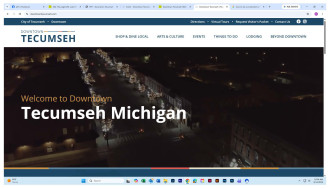 RFP for Downtown Tecumseh Website redesign